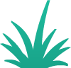 Alternative Bush 4